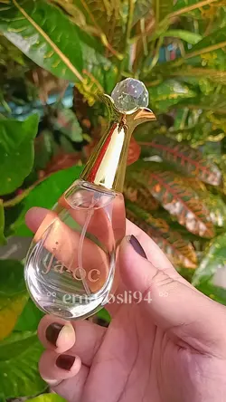 Perfume 