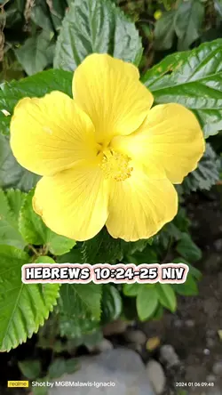 Hebrews 10: 24-25