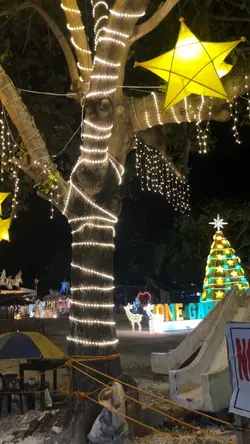 Himala ng Pasko