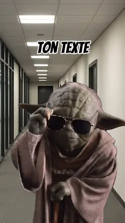 Maître yoda 😎
