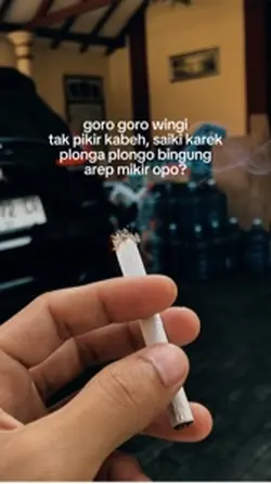plonga plongo