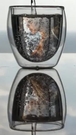 Lov water