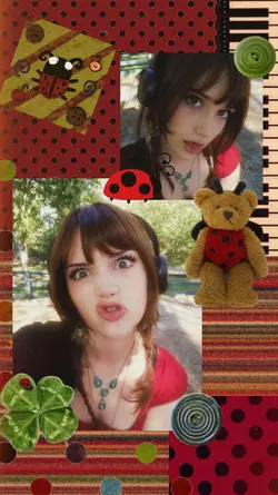 Ladybug 