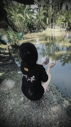 Trình Chiếu + Màu