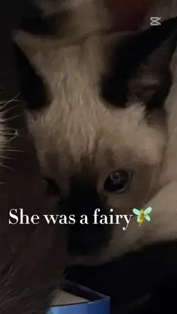 She was a fairy