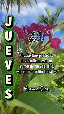 Jueves 13 de Agosto 