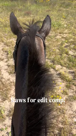 Raws for edit comp!