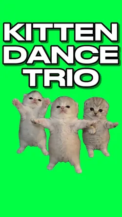CUTE KITTEN DANCE