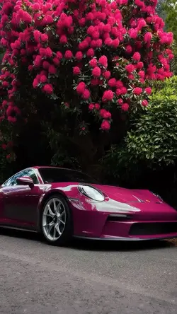 CAR | PORSCHE 🧞‍♀️⚡️