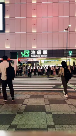 Japan 🇯🇵 Station 🚉 