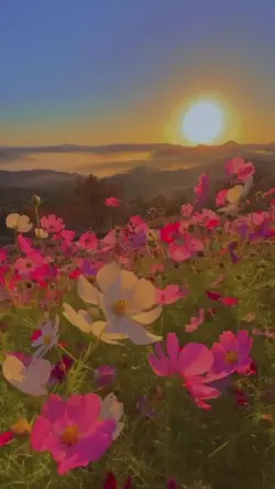 aesthetic lirik
