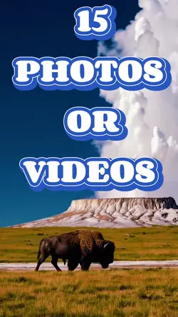 15 Photos Or Videos 