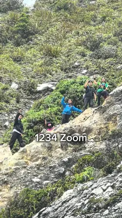 1234 Zoom
