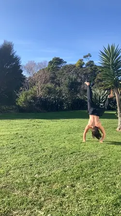 Flips