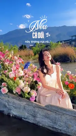 Nếu cả đời không...