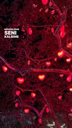 sevgili şablonu