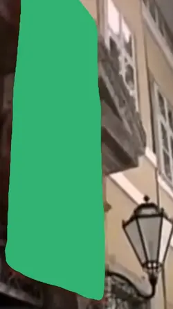 flag rip 2x pic