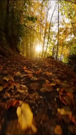 #HD,Clip
