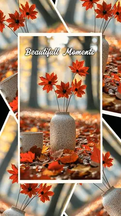 Beautifull Moments 