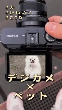 デジカメ×ペット🐶