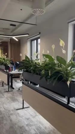 Office tour