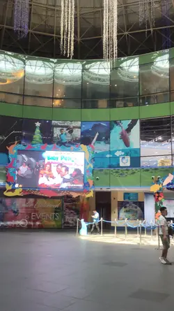 Ocean park 2024