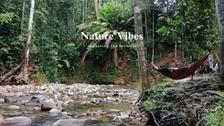 Nature Vibes 