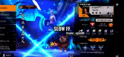 Slow FF