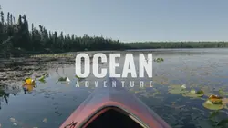 cinematic