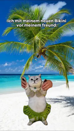 Katze Bauchtanz meme