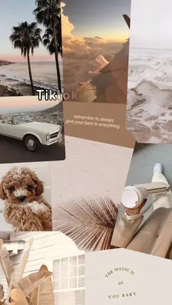 tiktok mashup 2024

