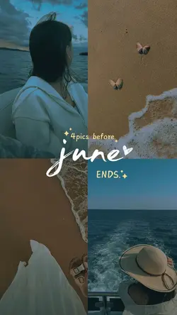 4picsbeforejuneends