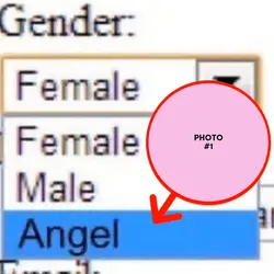gender: angel