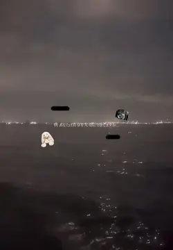 :::＊:::＊:::＊:::＊