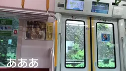 山手線トプナン