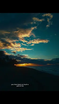 SAY YOU’LL NEVER GO