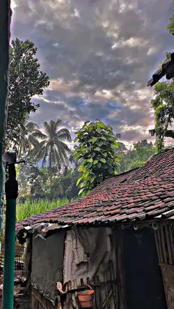 HD JERNIH 