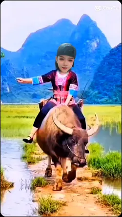 ขี่ควาย