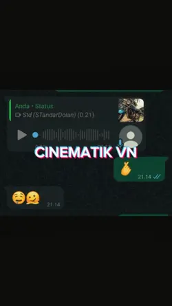 Cinematic VN