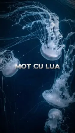 [2] MỘT CÚ LỪA 