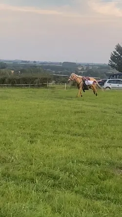 trick riding ❤️❤️