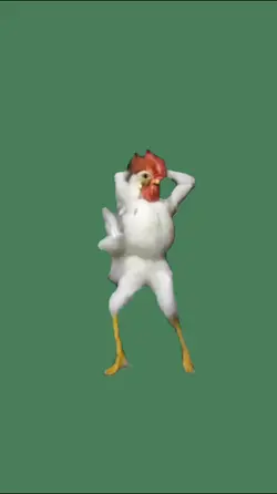 Dancing chicken
