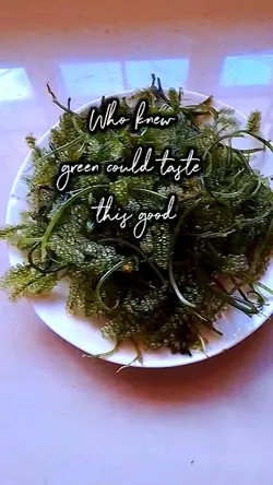 Seaweeds