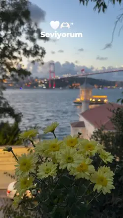 sen varsın diye
