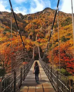 KOREA TRAVEL 