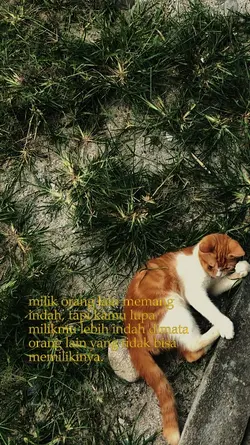 jangan lupa besyukur