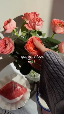 spring is here