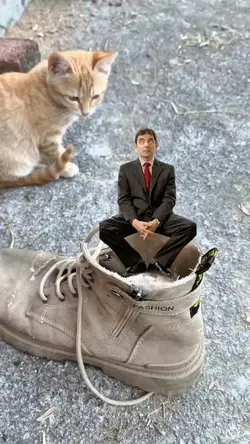قالب كوميدي