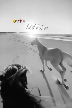 وہ باتیں کھاگئی مجھے