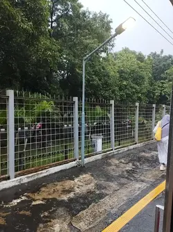 random video